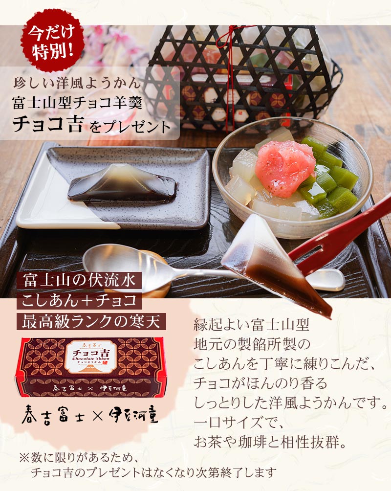今だけ チョコ羊羹 チョコ吉 プレゼント