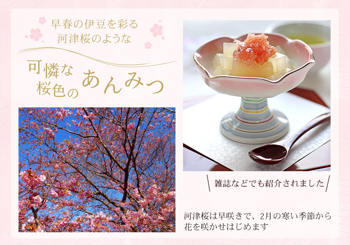 早春の伊豆を彩る河津桜のような　可憐な桜色のあんみつ