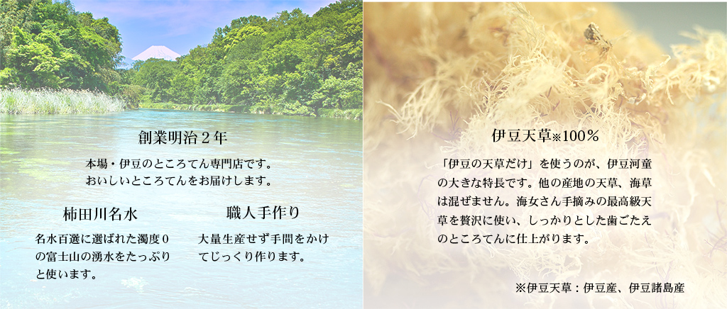 創業明治二年のところてんの老舗 伊豆の天草と濁りのない柿田川名水をたっぷりつかいました