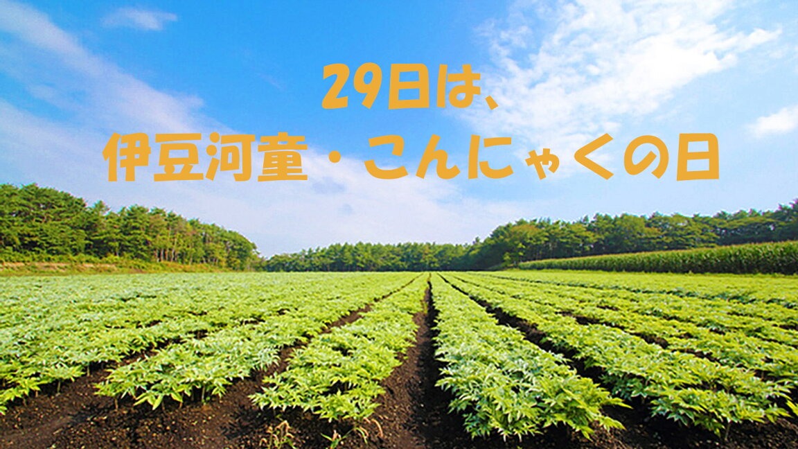 こんにゃくの日