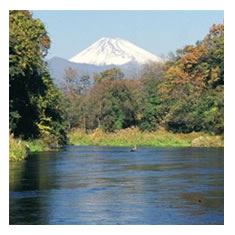 富士山