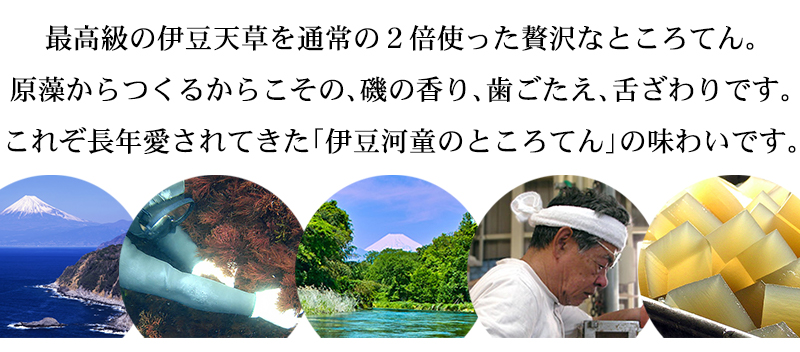 最高級の伊豆天草を通常の２倍使った贅沢なところてん。原藻からつくるからこその、磯の香り、歯ごたえ、舌ざわりです。これぞ長年愛されてきた「伊豆河童のところてん」の味わいです。