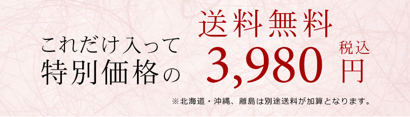 これだけ入って驚き価格です