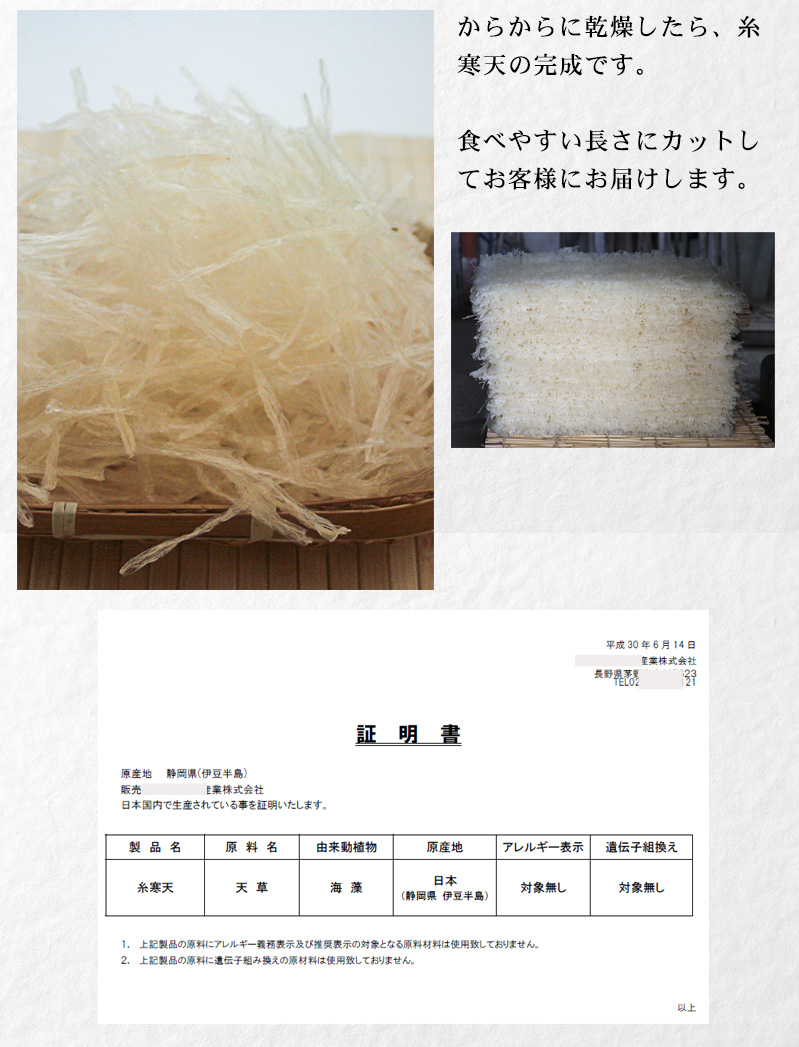 からからに乾燥したら、糸寒天の完成。食べやすい長さにカットしてお客様にお届け