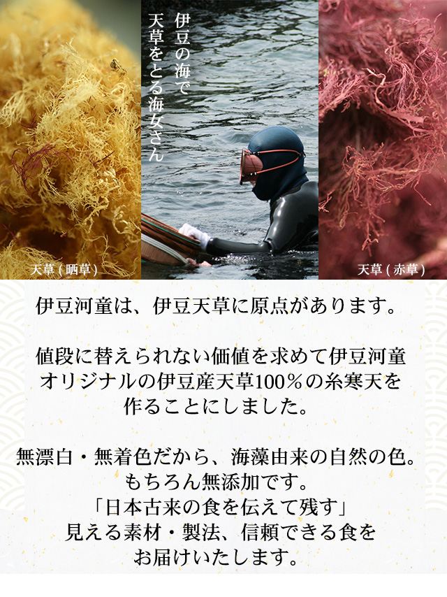 伊豆天草100％（伊豆産） 国産 糸寒天100g ６cmカット ローカロリー 食物繊維 ダイエットに | ところてんの伊豆河童 本店