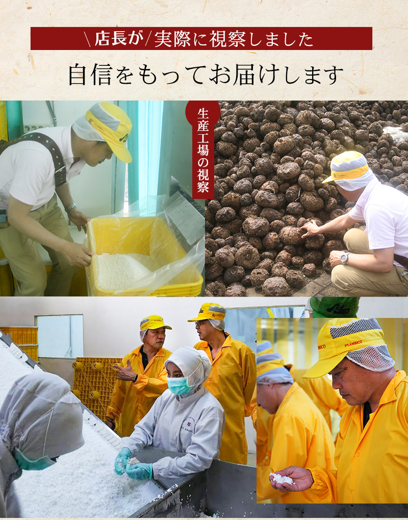 店長が実際に現地で見てきました