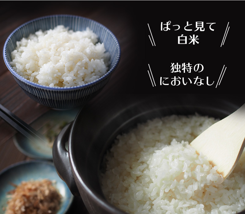 ぱっと見て白米