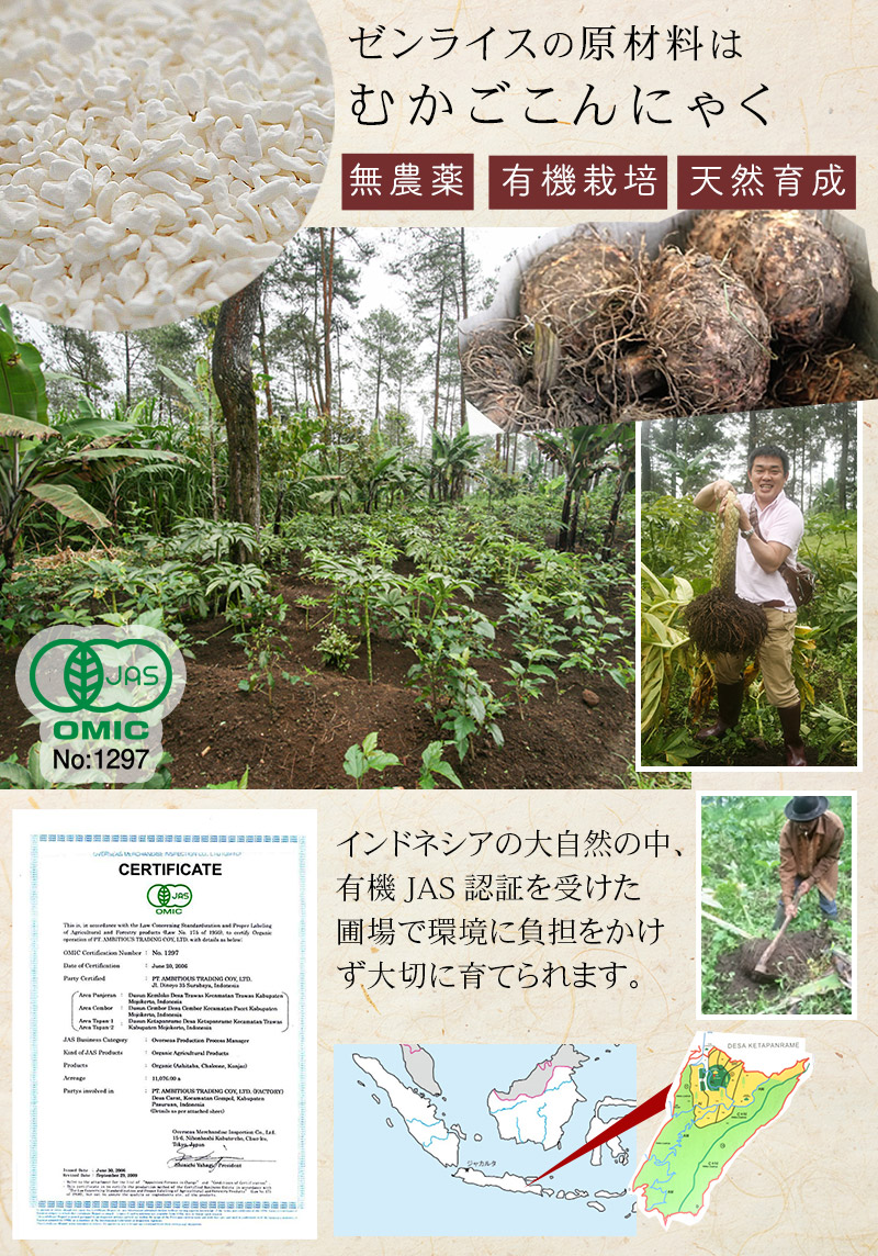 有機JISむかごこんにゃくから作る乾燥こんにゃく米