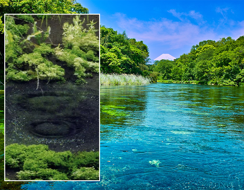 富士の湧水をたっぷり