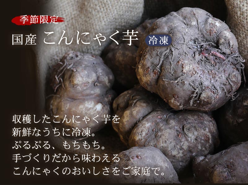 季節限定　国産こんにゃく芋　新物入荷いたしました