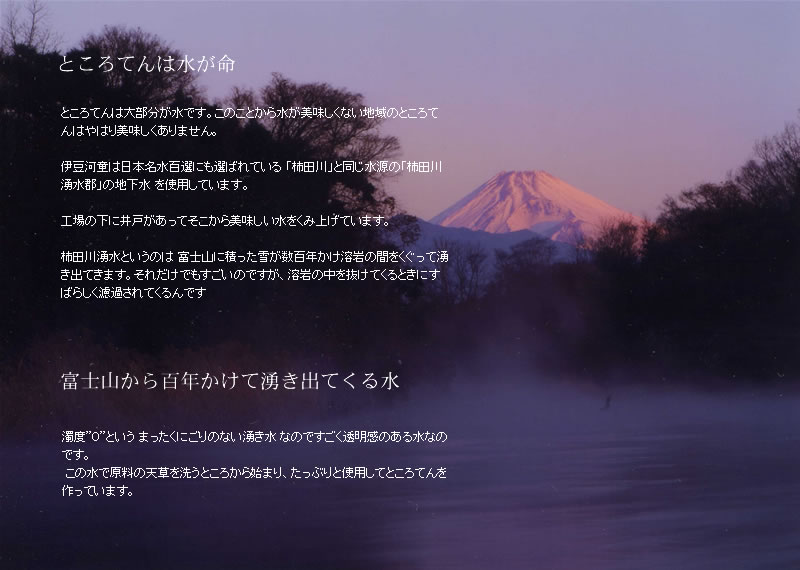 富士山から湧き出る　柿田川名水　で　トコロテンをつくります