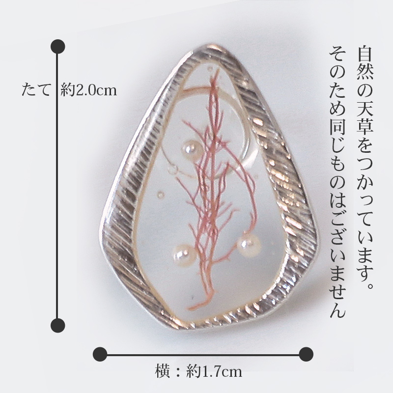 ピアスのサイズ
