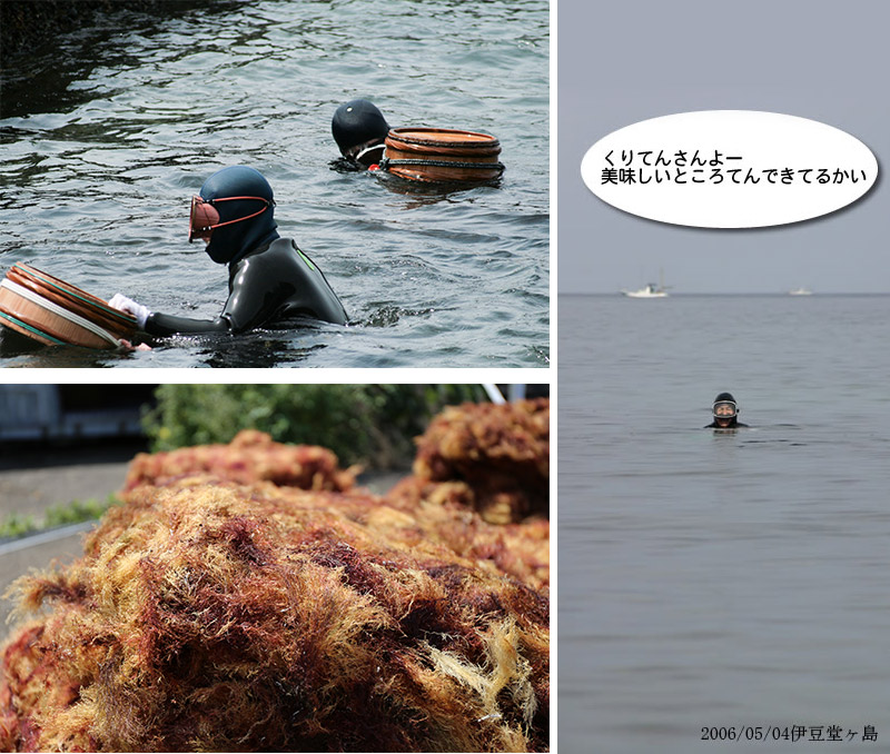 富士山の湧水　柿田川名水