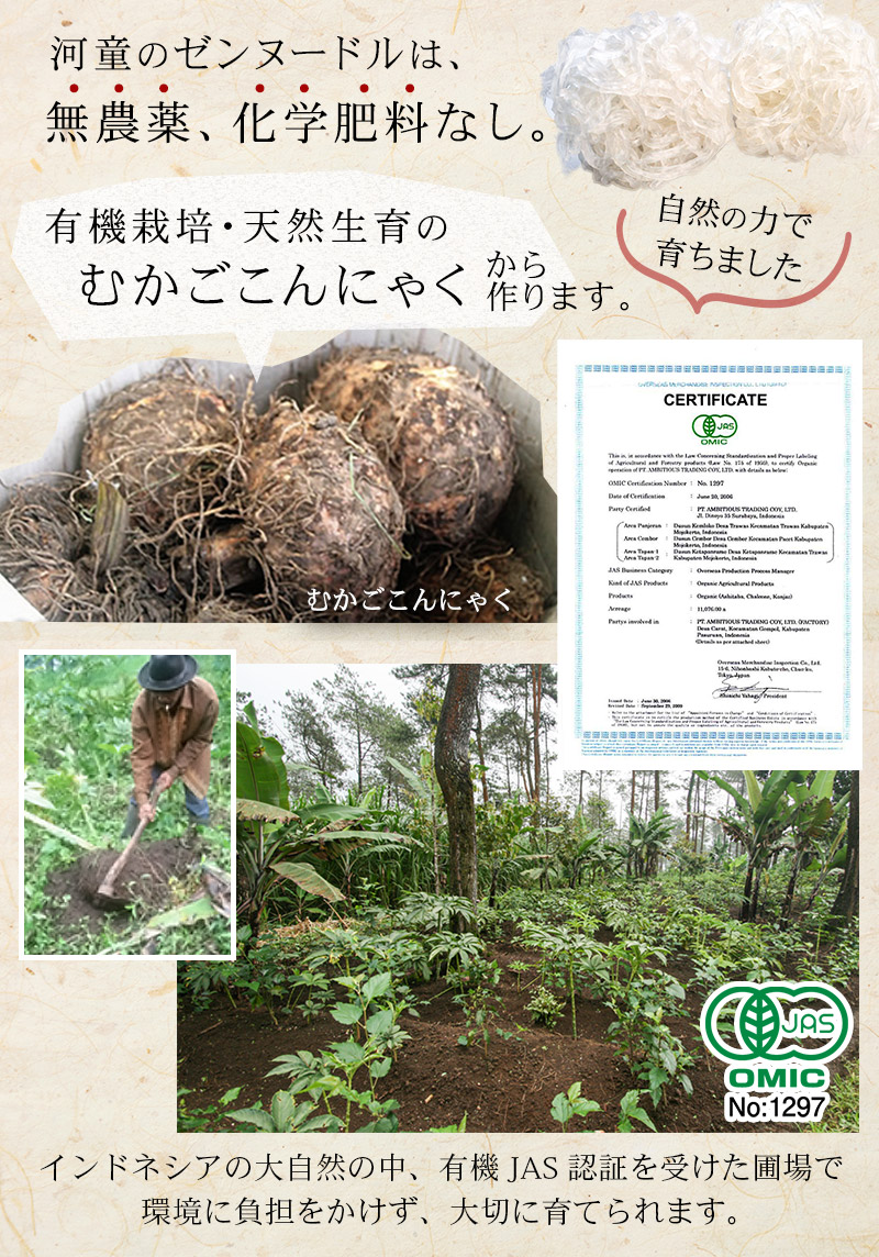 インドネシア