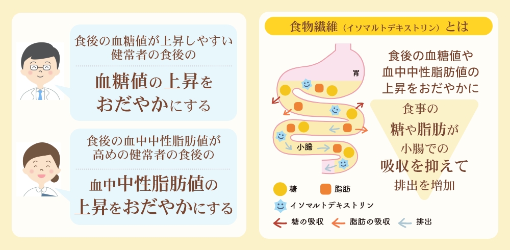 イソマルトデキストリンの機能は血糖値の上昇をおだやかにする、血中中性脂肪値の上昇をおだやかにする