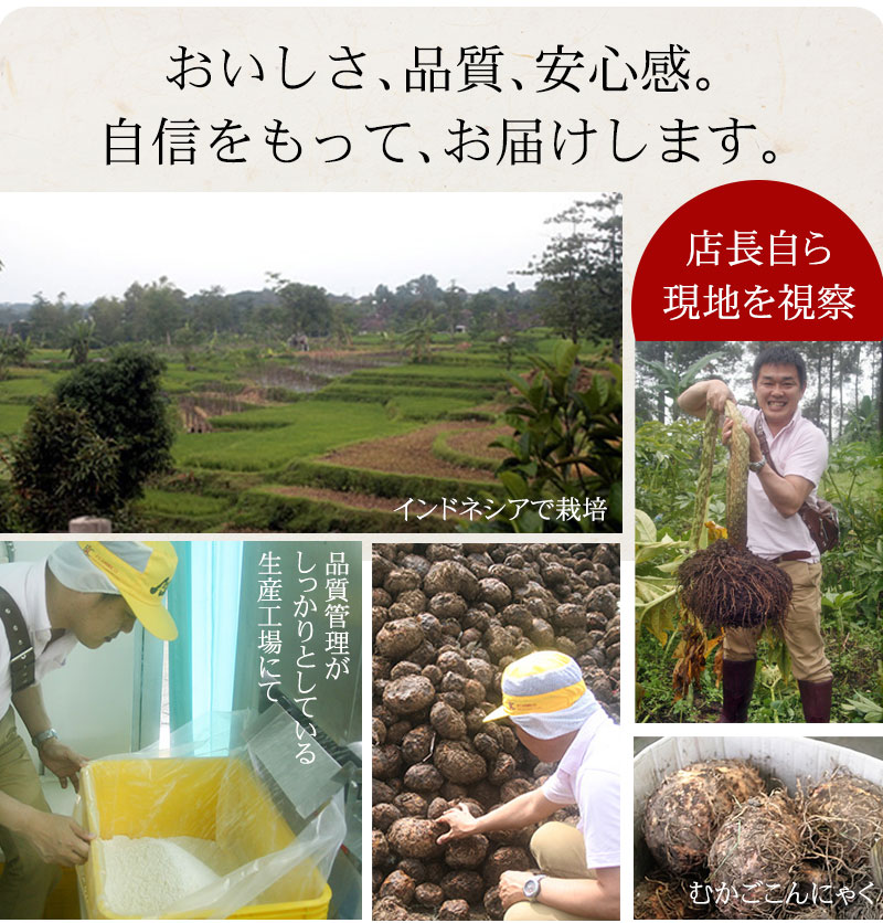 店長自ら 現地を視察 おいしさ、品質、安心感。自信をもって、お届けします。