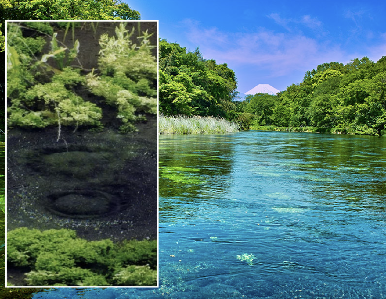 日本の名水百選・21世紀に残したい日本の自然百選にも認定された「柿田川湧水群」